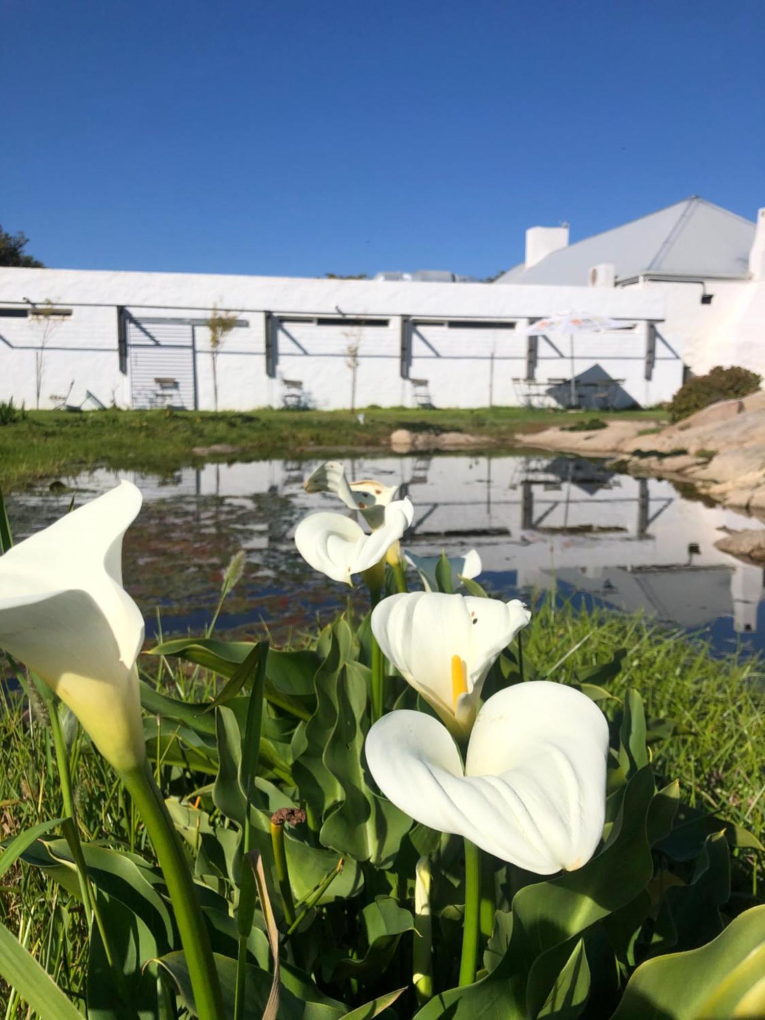 Bed and Breakfast !Khwa Ttu Swartwater Екстер'єр фото